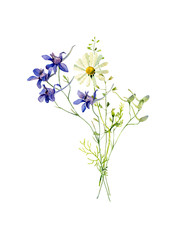 Obraz premium Watercolor bouquet of wild blue flowers and daisies