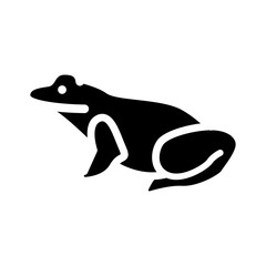 animal