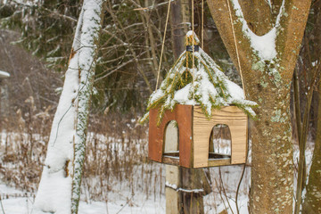 bird feeder in the winter forest hanging on a tree