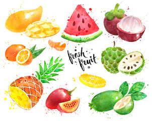 Watercolor illustration set of fruit