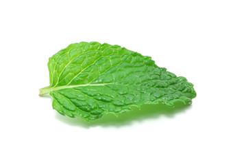 Fresh raw mint leaves isolated on white background