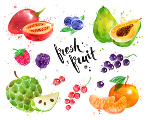 Watercolor illustration set of fruit and berries
