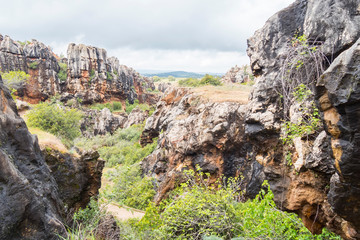 Cerro del hierro, North Seville Mountains, Spain