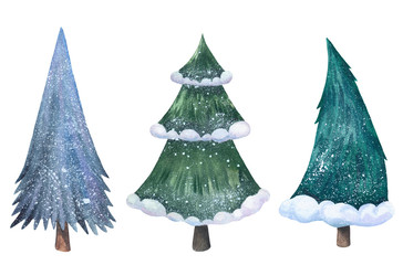 Watercolor illustration of pine trees. Isolated objects on a white background. Christmas tree. 