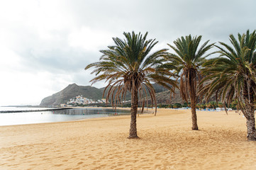 View from the height of the golden sand, palm trees, sun loungers. cloudy weather