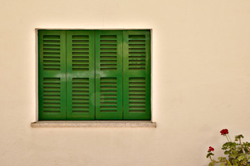 Green window blinds on the left with some flowers on the right bottom corner