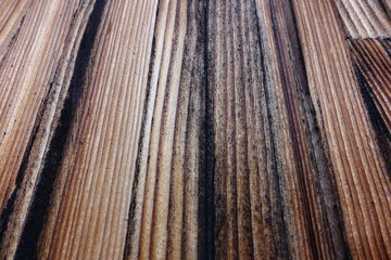 Fototapeta premium wood texture background