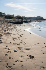 Several dog tracks in the sand, in a beach seashore in Majorca. Can Curt beach, Ses Salines, Colonia de Sant Jordi.