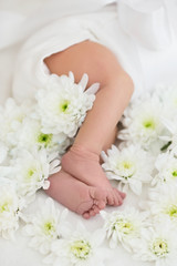 Newborn baby with white flowers. Tiny cute legs