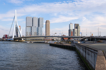 Fototapeta na wymiar Die berühmte Erasmusbrücke in Rotterdam/Niederlande
