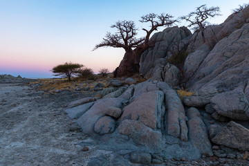 Rocks and baobab tree at twilight