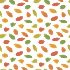 Vector seamless pattern with colorful autumn leaves isolated on white background.