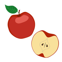 Red apple and half. Vector illustration