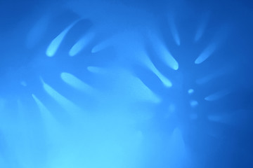 Contrast shadows of monstera leaves in trendy duotone neon backlight. Abstract backdrop for your...