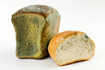 Mouldy bread on a white background. Expired pastries