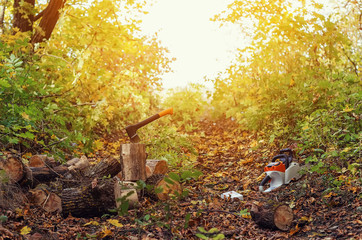 Firewood, sharp ax sticking out in a log, nature, forest, autumn, grass sunny day, close-up.