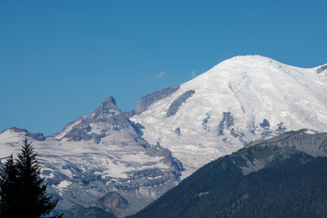 Fototapeta na wymiar Vista View at Mount Ranier National Park in Washington State