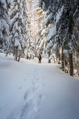 winter trekking in a beautiful sunny day. Gran Paradiso National Park, Italy