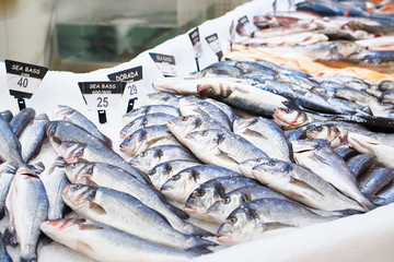 Dorado and sea bass fish in store