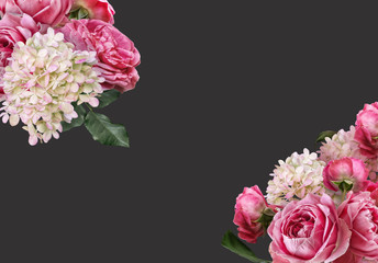 Pink roses and white hydrangea isolated on dark background. Floral banner, cover header with copy space. Natural flowers wallpaper or greeting card.