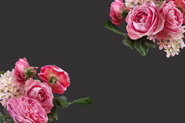 Pink roses and white hydrangea isolated on dark background. Floral banner, cover header with copy space. Natural flowers wallpaper or greeting card.