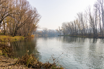 Fototapeta premium Following the banks of the Ter River
