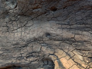 driftwood wood old aged