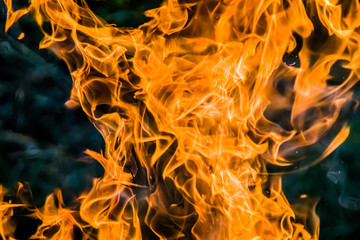 Bonfire fire close-up as a background. blur.