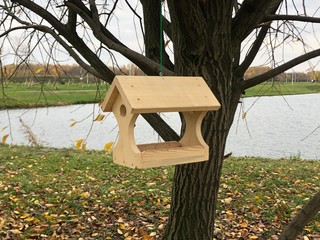 light, wooden birdhouse for birds, suspended on a branch in the park, by the river in the fall