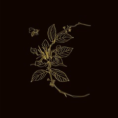 Decorative cocoa branch in golden outline vector and a little bee flies nearby. Clipart for embroidery or for printing on invitations and greeting cards and labels