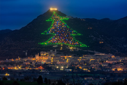 Как выглядит самая большая елка Assisi Star Изображения: просматривайте стоковые фотографии, векторные изображен