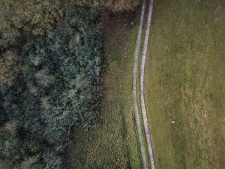 Idylischer Landweg quer durchs Bild mit Wald auf der linken Seite