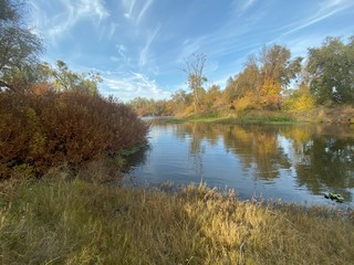 landscape with lake and trees