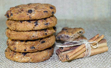 Homemade Cinnamon and Chocolate Cookies