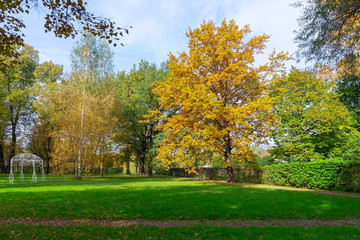 Fototapeta premium Autumn landscape. Golden autumn in the old Park. The landscape design has statues and pavilions. Kuskovo, Moscow, Russia.