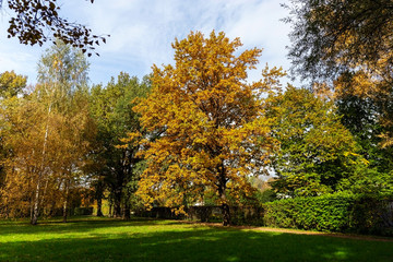 Fototapeta premium Autumn landscape. Golden autumn in the old Park. The landscape design has statues and pavilions. Kuskovo, Moscow, Russia.