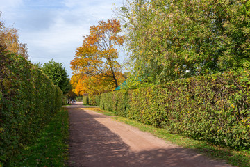 Autumn landscape. Golden autumn in the old Park. The landscape design has statues and pavilions. Kuskovo, Moscow, Russia.