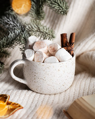 cozy winter cocoa in white cup with marshmallow sweater Christmas lights