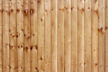 Simple unvarnished light wooden fence
