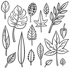 Set of different hand drawn plants  leaves. Vector outline illustration drawings on a white background. Collection of monstera, maranta, calathea, ivy, willow, cherry and other tree leaves