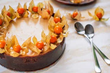 freshly baked, whole New York cheesecake garnished with physalis on a colorful background