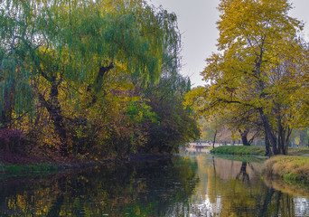 autumn park with lake and trees