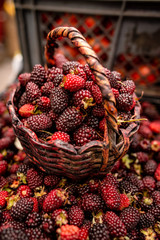 Fototapete bei efototapeten.de bestellen   