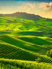 Blick auf die Weinberge der Langhe, Barolo und La Morra, Piemont, Italien Europa. © stevanzz