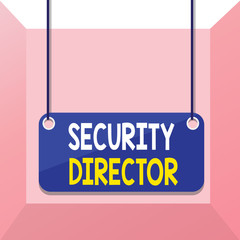 Conceptual hand writing showing Security Director. Concept meaning head of a private security force working for a business Board color background plank attached string panel rectangle
