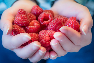 Framboises dans des mains