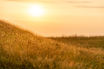 A rural field of grass and beach bathed in warm light from an upcoming sunset