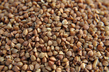 Background of dried buckwheat.