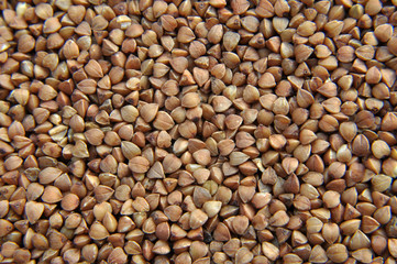 Background of dried buckwheat.