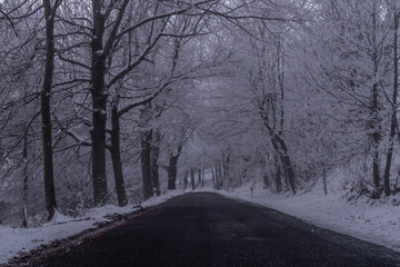 Obraz premium Winter morning with snowy road in dark forest in Krusne mountains